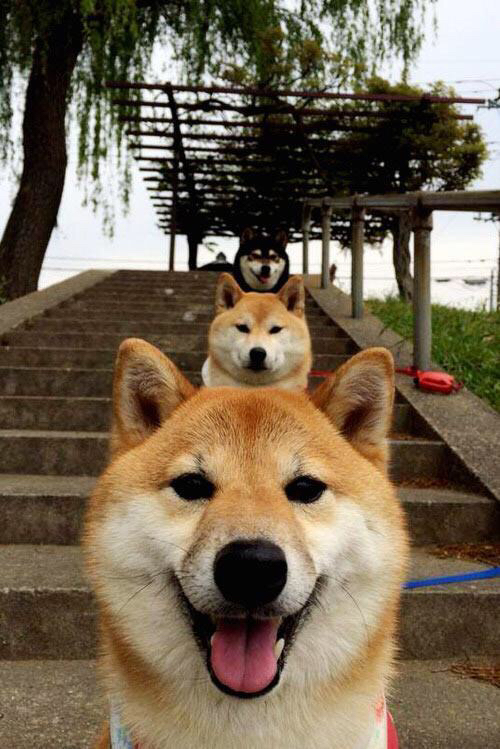 独行侠的筑梦师，东契奇用篮球在亚特兰大上空绘制的唯一杰作